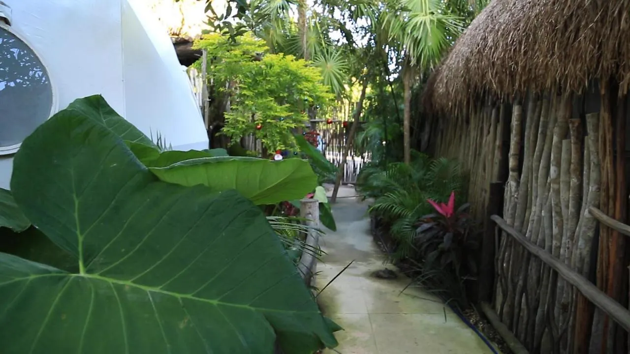 Hotel Glamping Tulum With Private Mini Pool